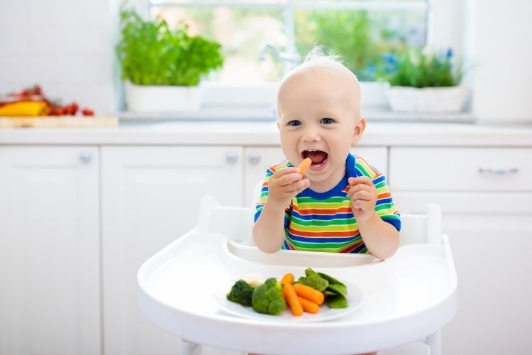 8 Month Old Feeding Schedule – What You Should Know?
