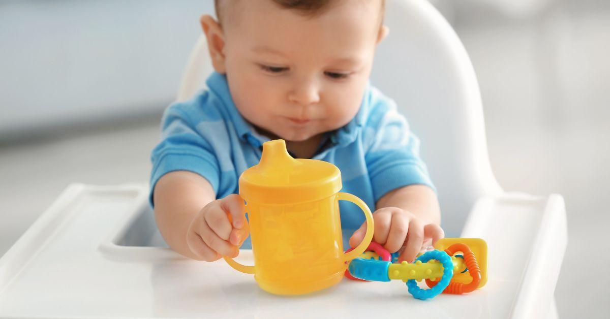Top 11 Best Sippy Cup For 6 Month Old Breastfed Baby